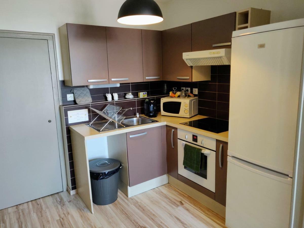 Appartement L'Oliveraie - La Cite Plein Les Yeux カルカソンヌ エクステリア 写真